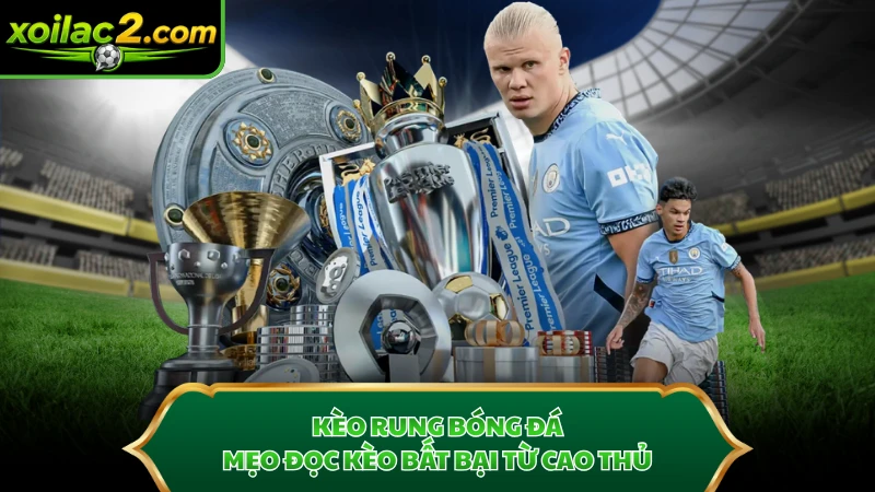 Kèo Rung Bóng Đá